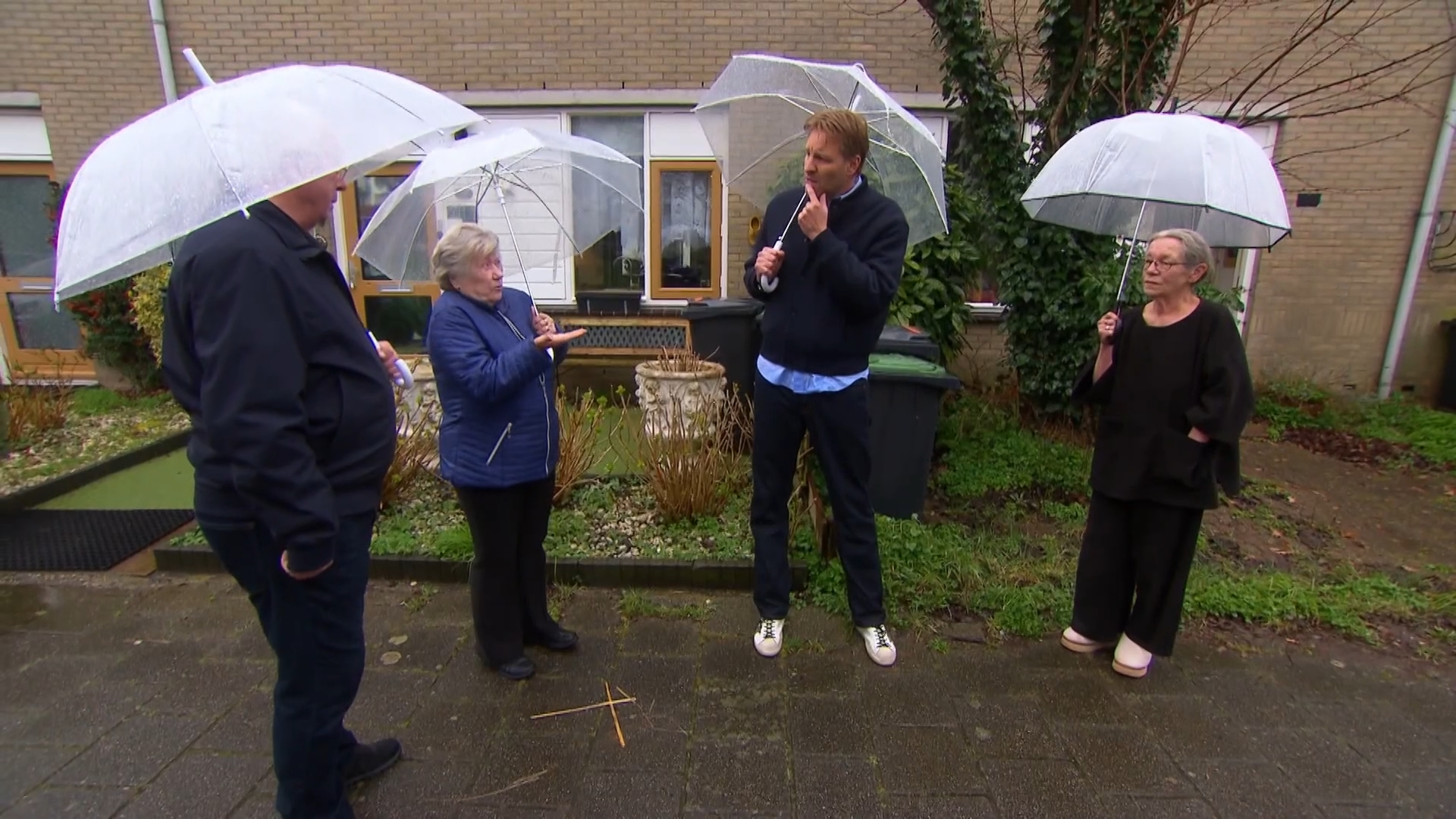 Eikenboom zorgt voor conflict tussen buren.